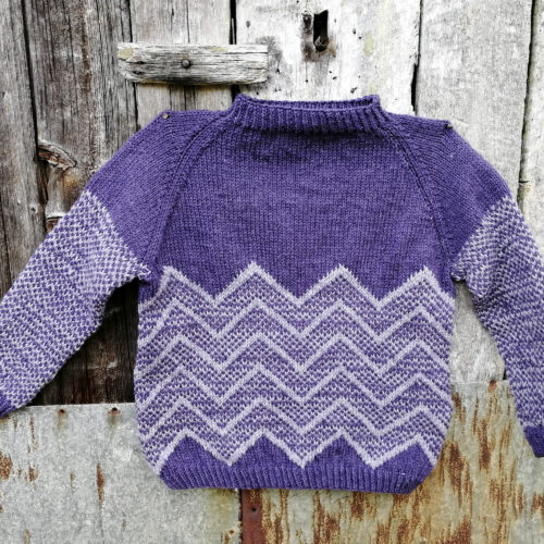 Sylvestre - Pull enfant