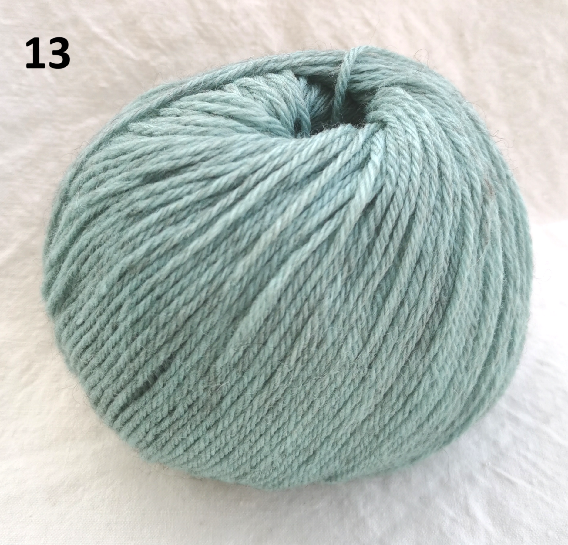 Iaque 13 Sauge Rosarios 4 2